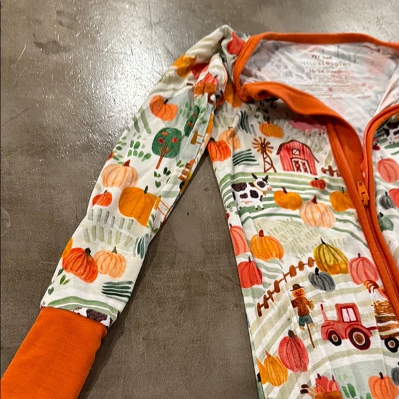 Little Sleepies Happy Harvest Zippy size 18-24 months - Picture 5 of 10